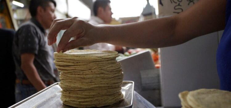 Analizan posible reducción del precio de la tortilla