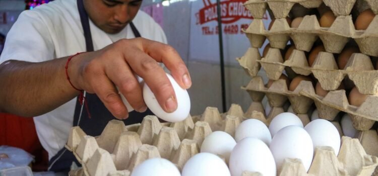 Sin mucho cambio el precio del huevo: Canaco Sin mucho cambio el precio del huevo: Canaco