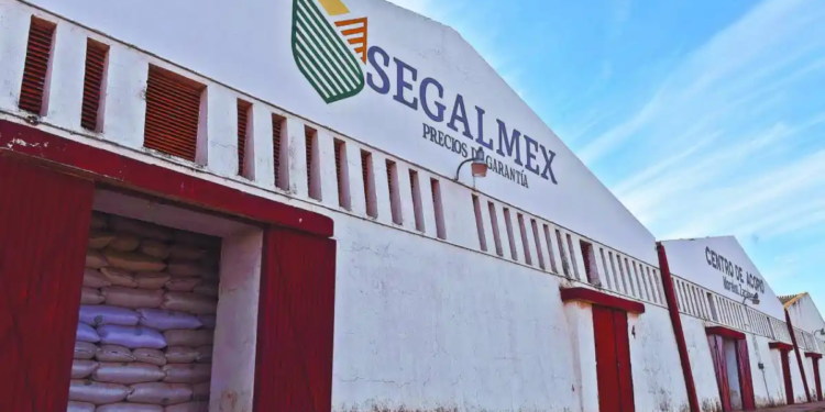 Van 27 detenidos por el caso Segalmex Van 27 detenidos por el caso Segalmex