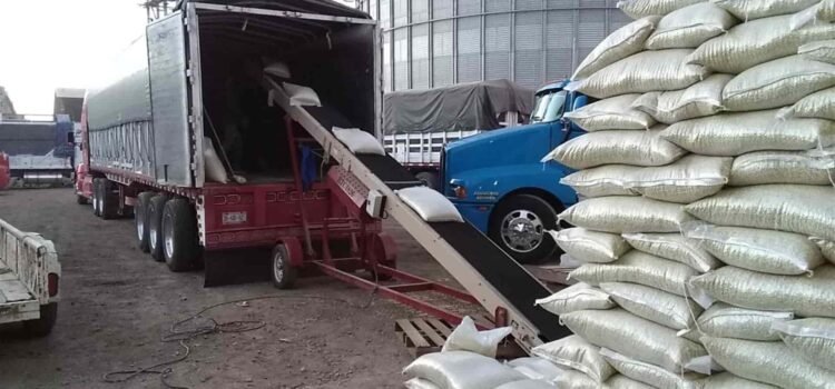 Hasta 2026 se definirá el acopio total de frijol