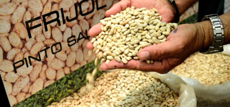 Productores critican esquema de acopio de frijol en Durango, Zacatecas y Chihuahua