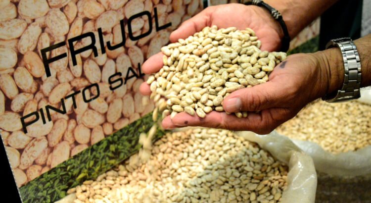 Productores critican esquema de acopio de frijol en Durango, Zacatecas y Chihuahua