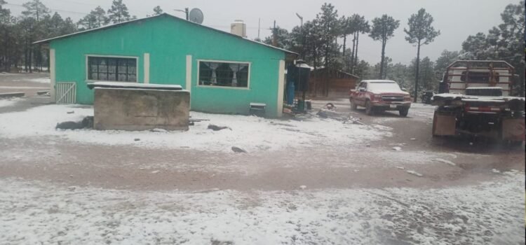 Habitantes registran caída de nieve que cubrió de blanco el suelo en Durango